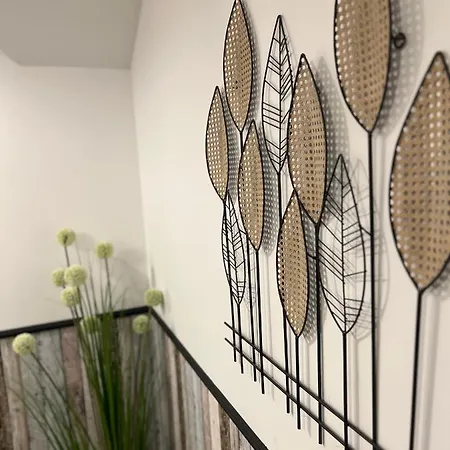 Apartament Czarny Baran