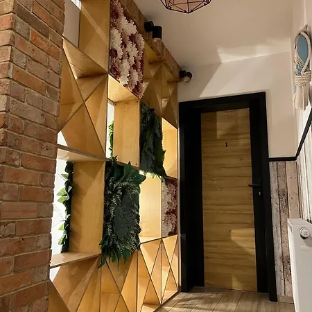 Czarny Baran Apartment *