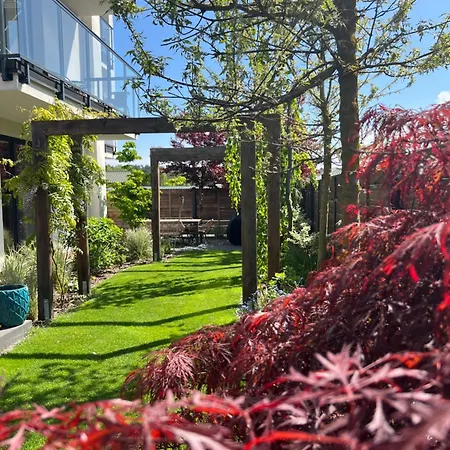 Czarny Baran * Debki