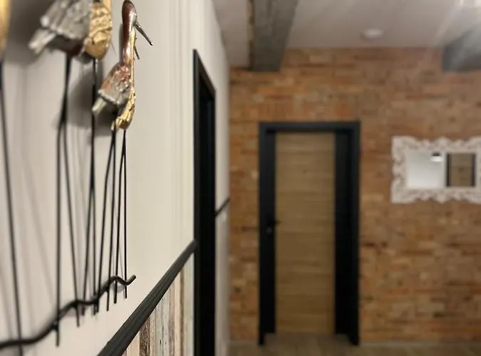 Czarny Baran Apartman