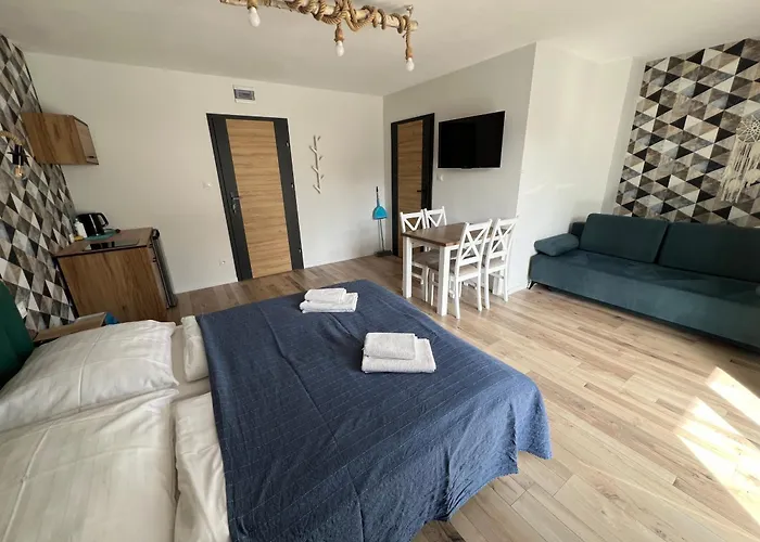 Apartment Czarny Baran