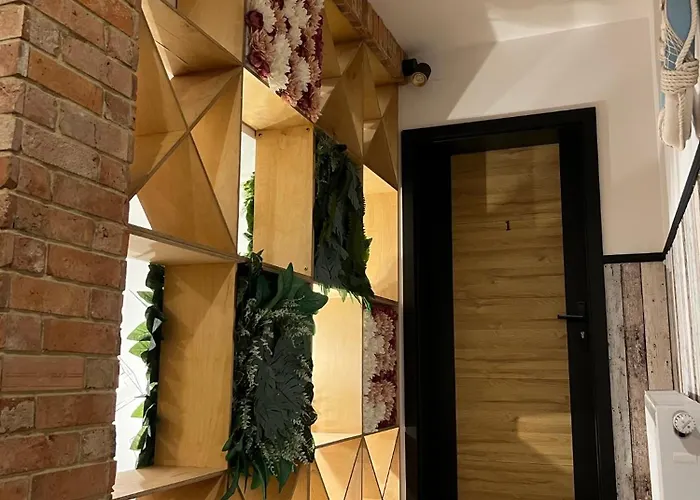 Czarny Baran Apartman *