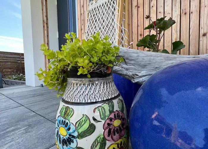 Apartment Czarny Baran *