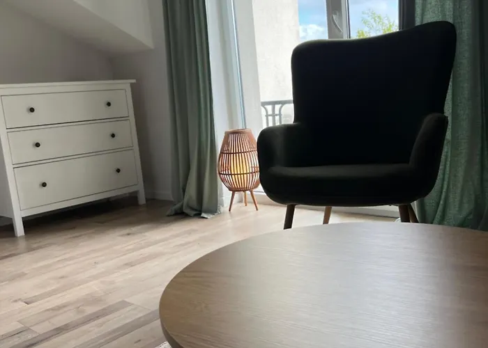 Apartman Czarny Baran *